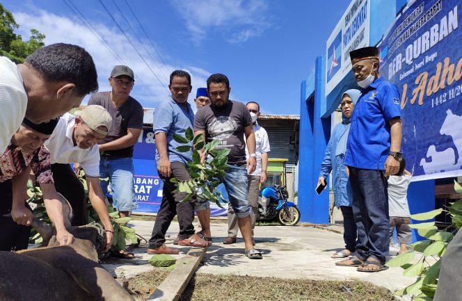 
 Bupati Dan Jajaran DPC Partai Demokrat Halbar Berbagi Hewan Kurban