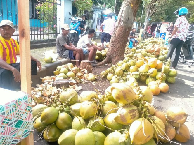 
 Pedagang Buah Kelapa Muda Banyak Diminati Masyarakat Untuk Berbuka