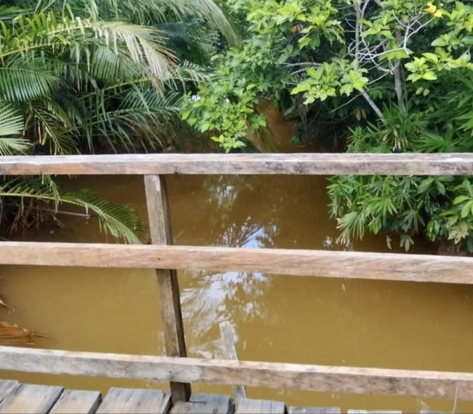 
 Warga Obi : Pihak Terkait Jangan Tutup Mata Pencemaran Lingkungan Oleh PT. GTS